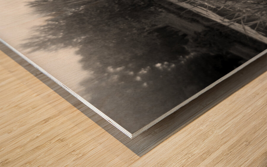 Silent Current Wood print