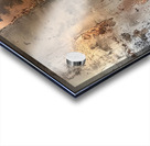 Gilded Shadows Acrylic print