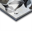 Contemplations in Monochrome Acrylic print