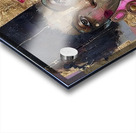 Queen of the Cosmos Acrylic print