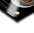 Capricorn Acrylic print