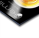 Gemini Acrylic print