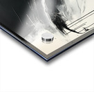 Void of Reflection Acrylic print