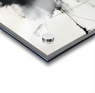 Echoes in Monochrome Acrylic print