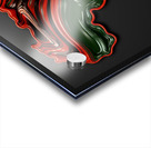 Mother Africa - IV Acrylic print