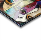 Unity in Diversity Acrylic print