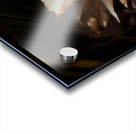 Golden Reflection Acrylic print