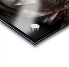 Veil of Resilience Acrylic print