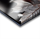 Whispers of Autumn Acrylic print