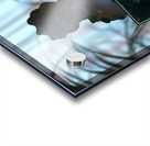 Cyber Chic Acrylic print