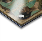 Double Vision Acrylic print