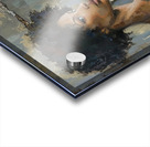 Glimpse of the Soul Acrylic print