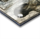 Strength and Resilience Acrylic print