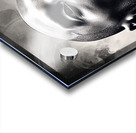 Enduring Spirit Acrylic print