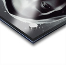 The Black Mamba Acrylic print