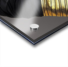 Golden Essence Acrylic print