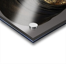 Regal Warrior Acrylic print