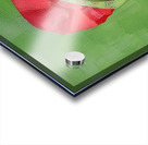 Emerald Grace Acrylic print