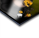 Urban Monarch Acrylic print