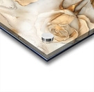 Gilded Devotion Acrylic print