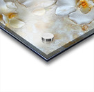 Ivory Symphony Acrylic print