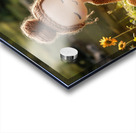 Stillness by the Fire: The Knitted Soul Acrylic print