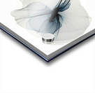 Whispers of Silk Acrylic print