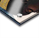 Moonlit Royalty Acrylic print