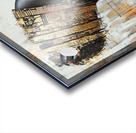 Echoes of the Matriarch Acrylic print