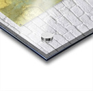 The Riot Girl Reads Acrylic print