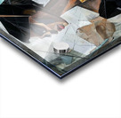 Solene Acrylic print