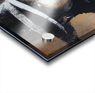 Velvet Rebellion Acrylic print