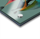 Dance of Balance Acrylic print