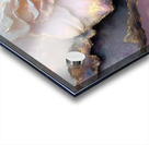 Petalstone Constellation Acrylic print