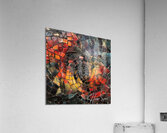 Mosaic Spiral Acrylic Print