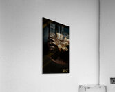 Golden Reflection Acrylic Print