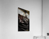 Veil of Resilience Acrylic Print