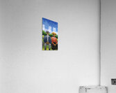 Fields of Reflection Acrylic Print