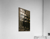 Elegance Personified Acrylic Print