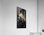 Golden Essence Acrylic Print