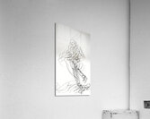 Jazz Elegance Acrylic Print