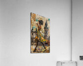 Nyah’s Journey Acrylic Print