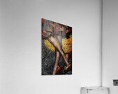 Ember Waltz Acrylic Print