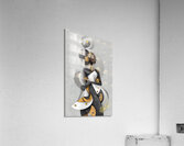 Her Spirit Swirls in Silence Acrylic Print