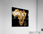 Bloodlines & Boundarie Acrylic Print