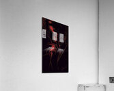 Crimson Hush Acrylic Print