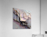 Petalstone Constellation Acrylic Print