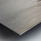 Elegance in the Cityscape Metal print