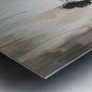 The Triumvirate Metal print