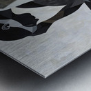 Contemplations in Monochrome Metal print